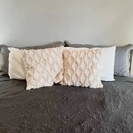 Studio Apt In Plaza Midwood- Fast Wifi-King Bed-3